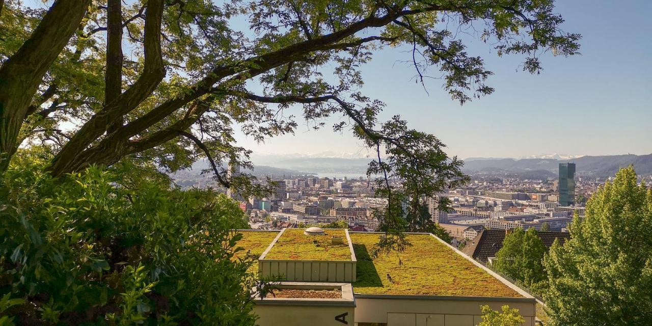 Helvetia 2 Zimmer Apartment Mit Parkplatz Zürich Buitenkant foto